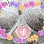 ヒメ日記 2026/04/11 12:20 投稿 ちずる 熟女の風俗最終章 高崎店