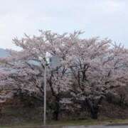 ヒメ日記 2026/04/15 05:38 投稿 ちずる 熟女の風俗最終章 高崎店