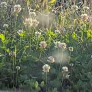 ヒメ日記 2026/04/19 09:50 投稿 ちずる 熟女の風俗最終章 高崎店