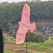 ヒメ日記 2026/04/29 06:48 投稿 ちずる 熟女の風俗最終章 高崎店