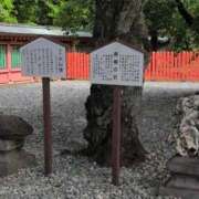 ヒメ日記 2026/05/06 11:26 投稿 ちずる 熟女の風俗最終章 高崎店