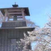 ヒメ日記 2026/05/15 08:25 投稿 ちずる 熟女の風俗最終章 高崎店