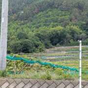 ヒメ日記 2026/05/26 14:48 投稿 ちずる 熟女の風俗最終章 高崎店