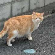 ヒメ日記 2026/06/11 06:08 投稿 ちずる 熟女の風俗最終章 高崎店