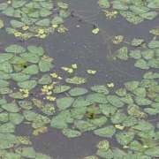 ヒメ日記 2026/07/28 11:08 投稿 ちずる 熟女の風俗最終章 高崎店