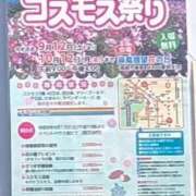ヒメ日記 2026/10/03 10:20 投稿 ちずる 熟女の風俗最終章 高崎店