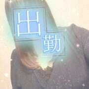 ヒメ日記 2025/08/19 11:36 投稿 せな 熟女＆人妻＆ぽっちゃり倶楽部