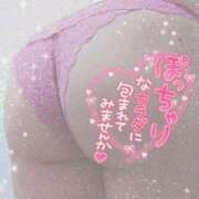 ヒメ日記 2025/09/02 18:20 投稿 せな 熟女＆人妻＆ぽっちゃり倶楽部