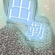 ヒメ日記 2026/07/29 09:58 投稿 せな 熟女＆人妻＆ぽっちゃり倶楽部