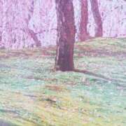 ヒメ日記 2025/03/06 07:41 投稿 秋本ちさと イエスグループ熊本 華女