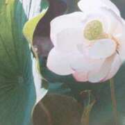 ヒメ日記 2025/03/16 07:50 投稿 秋本ちさと イエスグループ熊本 華女