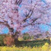 ヒメ日記 2025/04/06 07:58 投稿 秋本ちさと イエスグループ熊本 華女