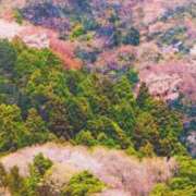 ヒメ日記 2025/04/18 08:14 投稿 秋本ちさと イエスグループ熊本 華女