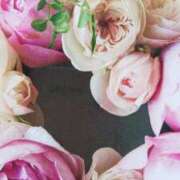 ヒメ日記 2025/04/29 08:04 投稿 秋本ちさと イエスグループ熊本 華女