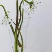 ヒメ日記 2025/05/29 08:03 投稿 秋本ちさと イエスグループ熊本 華女