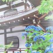 ヒメ日記 2025/06/05 07:53 投稿 秋本ちさと イエスグループ熊本 華女