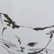 ヒメ日記 2025/06/22 07:51 投稿 秋本ちさと イエスグループ熊本 華女