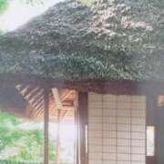 ヒメ日記 2025/07/04 08:04 投稿 秋本ちさと イエスグループ熊本 華女