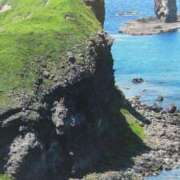 ヒメ日記 2025/07/12 08:01 投稿 秋本ちさと イエスグループ熊本 華女