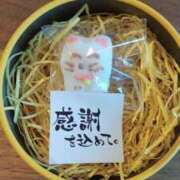 ヒメ日記 2025/07/14 08:17 投稿 秋本ちさと イエスグループ熊本 華女