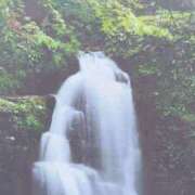 ヒメ日記 2025/07/27 07:25 投稿 秋本ちさと イエスグループ熊本 華女