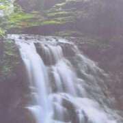 ヒメ日記 2025/08/03 07:54 投稿 秋本ちさと イエスグループ熊本 華女