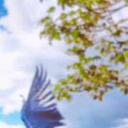 ヒメ日記 2025/08/22 07:45 投稿 秋本ちさと イエスグループ熊本 華女