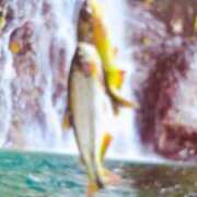 ヒメ日記 2025/08/25 08:28 投稿 秋本ちさと イエスグループ熊本 華女