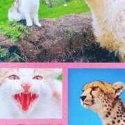 ヒメ日記 2025/08/30 07:35 投稿 秋本ちさと イエスグループ熊本 華女