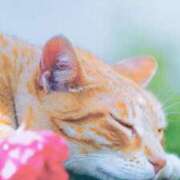 ヒメ日記 2025/08/31 07:25 投稿 秋本ちさと イエスグループ熊本 華女