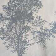 ヒメ日記 2025/09/24 08:09 投稿 秋本ちさと イエスグループ熊本 華女