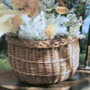 ヒメ日記 2025/09/29 07:47 投稿 秋本ちさと イエスグループ熊本 華女