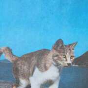 ヒメ日記 2025/10/23 07:50 投稿 秋本ちさと イエスグループ熊本 華女