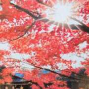 ヒメ日記 2025/11/16 07:58 投稿 秋本ちさと イエスグループ熊本 華女