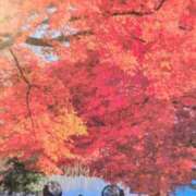 ヒメ日記 2025/11/22 07:57 投稿 秋本ちさと イエスグループ熊本 華女