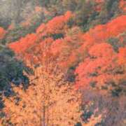 ヒメ日記 2025/12/07 07:57 投稿 秋本ちさと イエスグループ熊本 華女