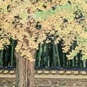 ヒメ日記 2025/12/28 08:27 投稿 秋本ちさと イエスグループ熊本 華女