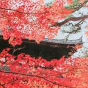 ヒメ日記 2025/12/30 08:48 投稿 秋本ちさと イエスグループ熊本 華女