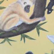 ヒメ日記 2026/01/19 08:07 投稿 秋本ちさと イエスグループ熊本 華女