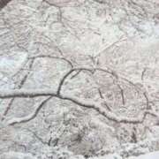 ヒメ日記 2026/01/24 07:46 投稿 秋本ちさと イエスグループ熊本 華女