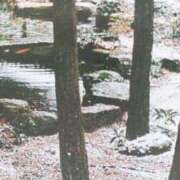 ヒメ日記 2026/01/25 07:53 投稿 秋本ちさと イエスグループ熊本 華女