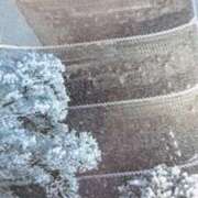 ヒメ日記 2026/01/31 07:09 投稿 秋本ちさと イエスグループ熊本 華女