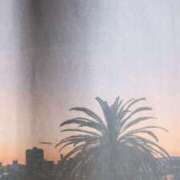 ヒメ日記 2026/02/13 07:53 投稿 秋本ちさと イエスグループ熊本 華女