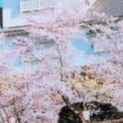 ヒメ日記 2026/04/19 07:54 投稿 秋本ちさと イエスグループ熊本 華女