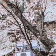ヒメ日記 2026/04/20 07:36 投稿 秋本ちさと イエスグループ熊本 華女