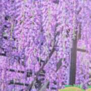 ヒメ日記 2026/05/07 08:22 投稿 秋本ちさと イエスグループ熊本 華女