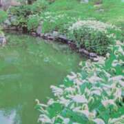 ヒメ日記 2026/06/14 07:32 投稿 秋本ちさと イエスグループ熊本 華女