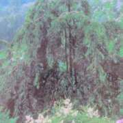 ヒメ日記 2026/06/20 07:42 投稿 秋本ちさと イエスグループ熊本 華女