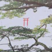 ヒメ日記 2026/10/18 07:34 投稿 秋本ちさと イエスグループ熊本 華女
