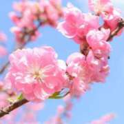 ヒメ日記 2025/05/07 10:30 投稿 千景【これぞリアル峰不二子】 Beppin house